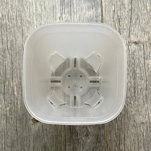 4" round cornered clear square pot