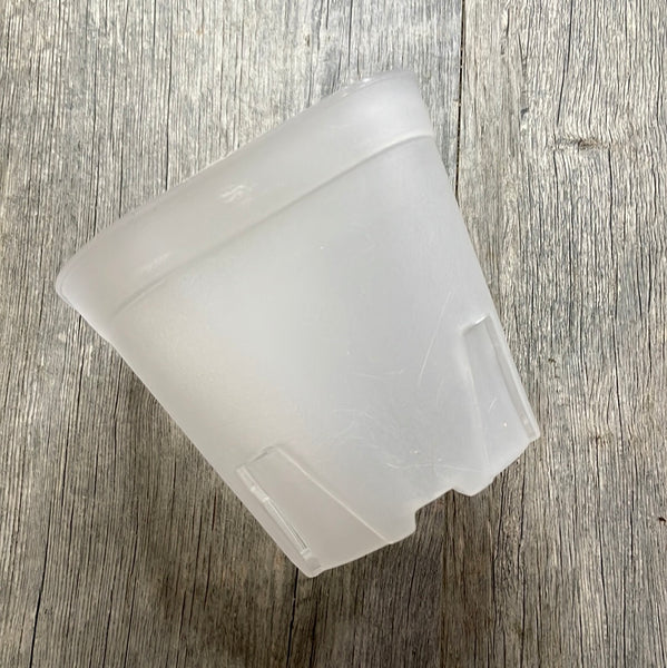 5" round cornered clear square seedling pot