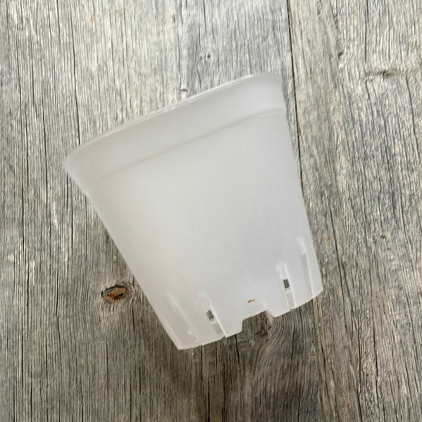 3.75" round cornered clear square seedling pot