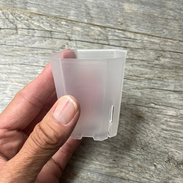2" bevel sided tall square clear seedling pot