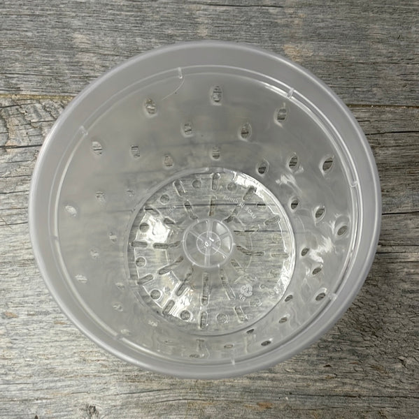 5" clear round orchid pot with holes