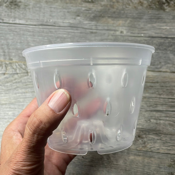5" clear round orchid pot with holes