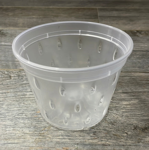 5" clear round orchid pot with holes