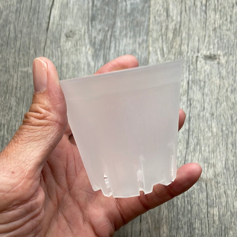2.5" square round cornered clear seedling pot