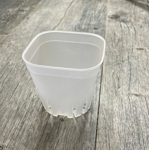 3.25" round cornered clear square seedling pot