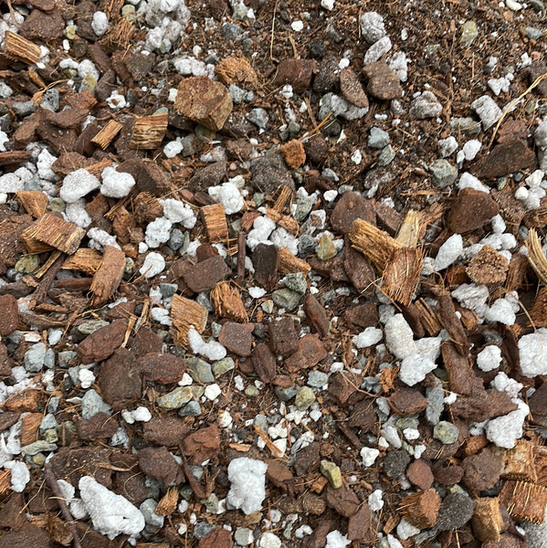 Aroid Tropical Plant Potting Soil Mix