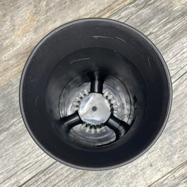 4" round black plastic flared succulent pot