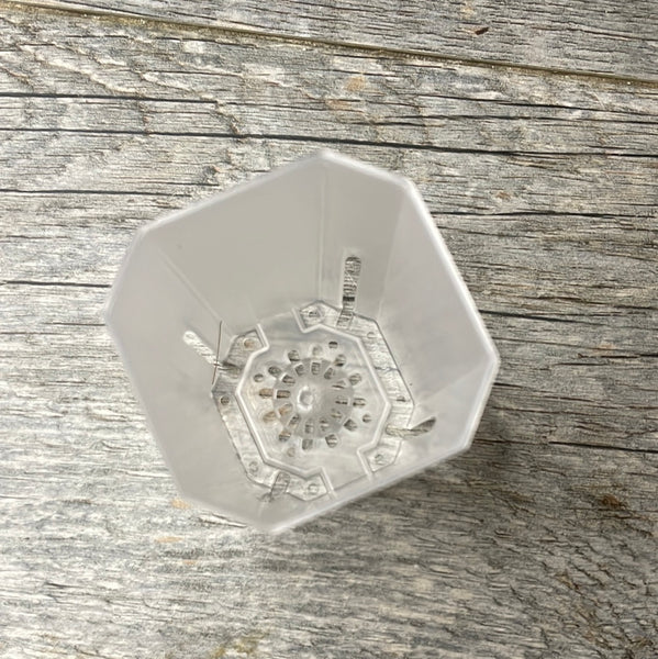 2" bevel sided tall square clear seedling pot