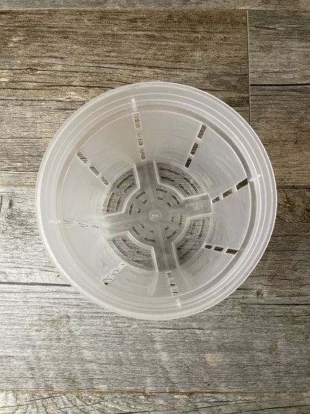 looking down into a 6" transparent orchid pot showing the side slots and mesh bottom