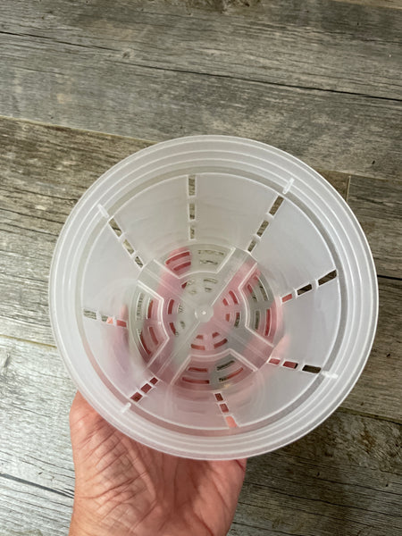 a hand holding a 5" transparent round orchid pot looking into the pot at the slots on the sides and the mesh bottom