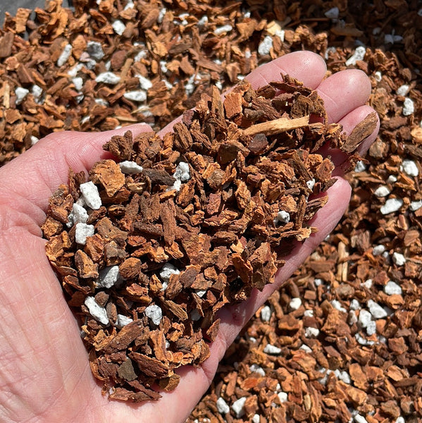 JF's Excellent Oncidium Orchid Potting Mix - gallon