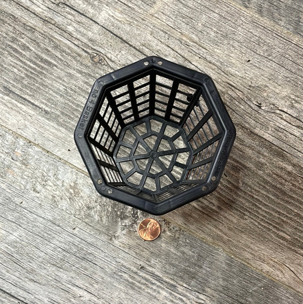 4" octagonal black plastic orchid basket