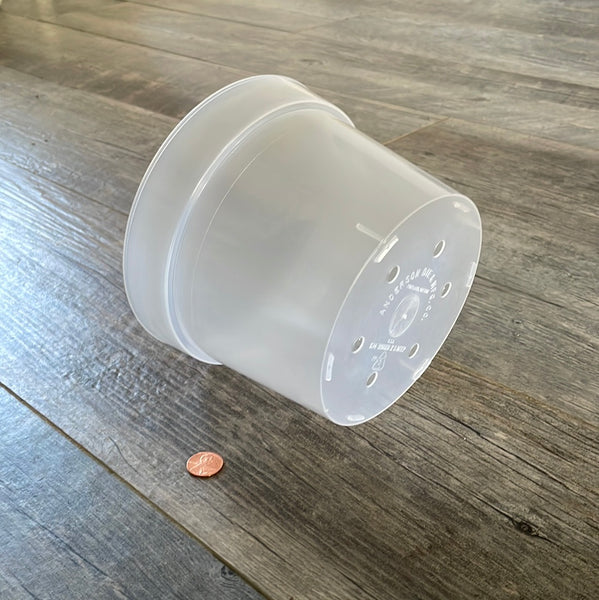6.5" round sturdy clear orchid pot