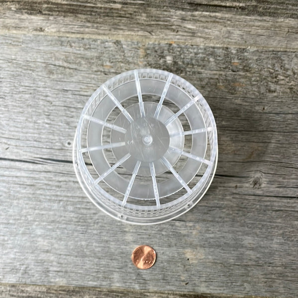 4.5" clear mesh orchid pot