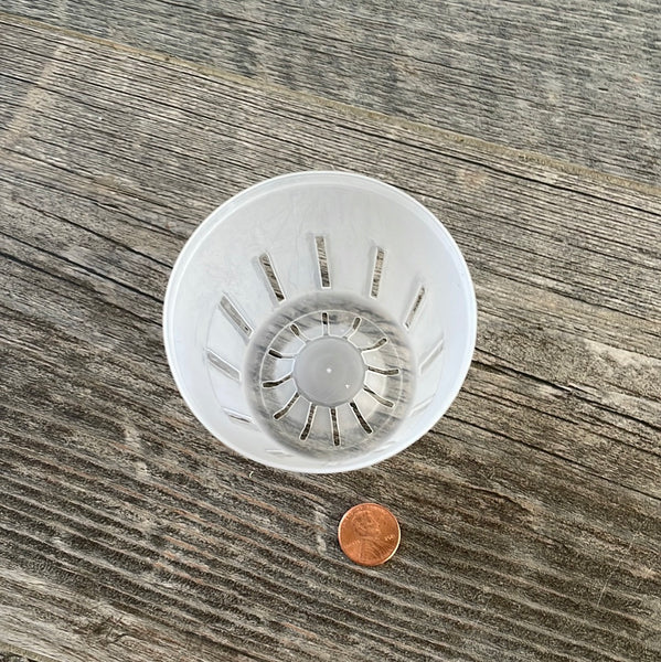 3" round rimless translucent pot