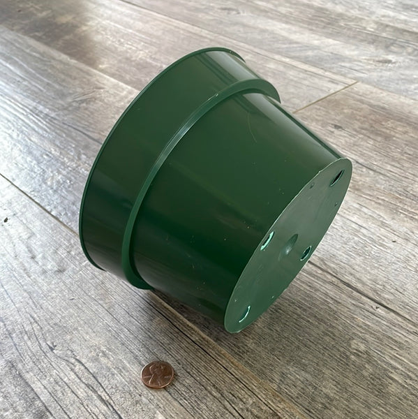 The side and bottom view of a 6" green plastic bulb pot