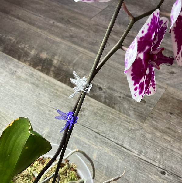 Dragonfly plant clips - 12 pack