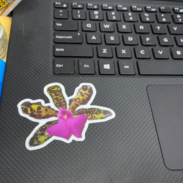 Cattleya orchid sticker - vinyl & weather resistant