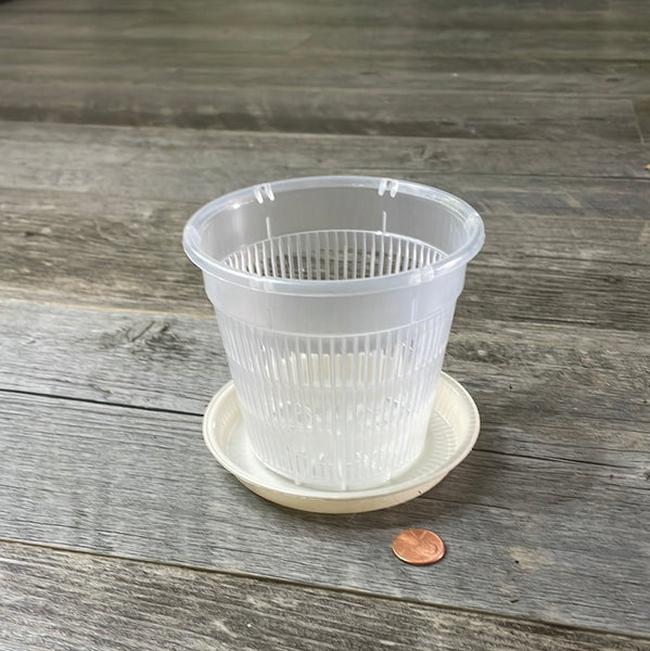 4.5" clear mesh orchid pot