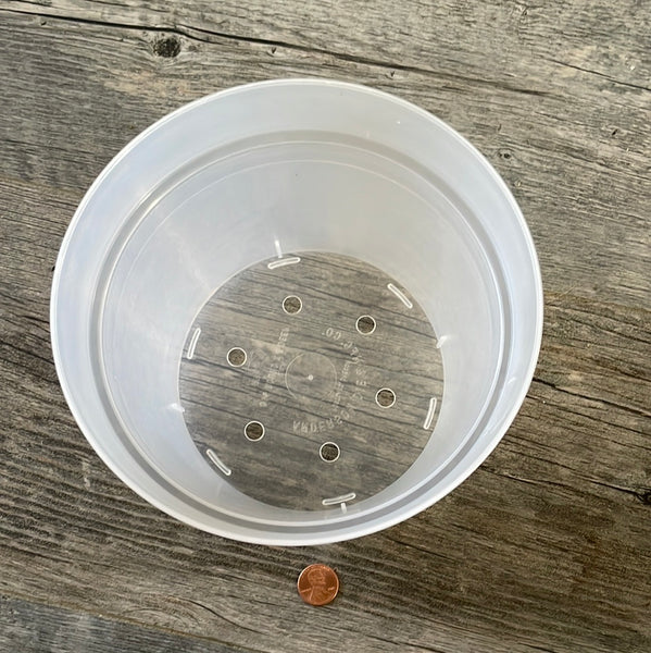 6.5" round sturdy clear orchid pot