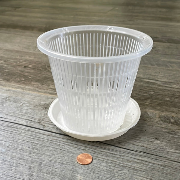 5.5" clear round mesh orchid pot