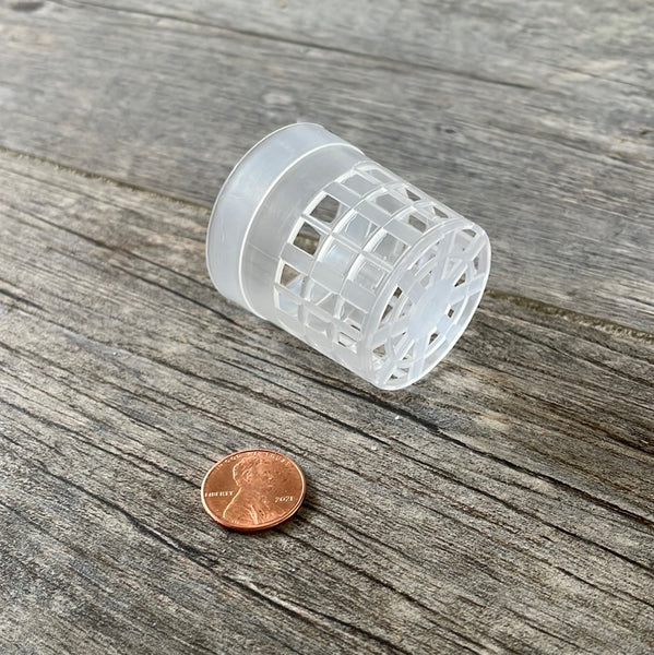 a tiny 1.5" clear mesh pot on its side with a penny for size comparison