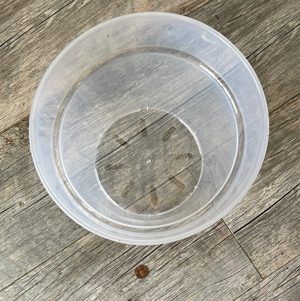 nine inch ultra clear round orchid pot