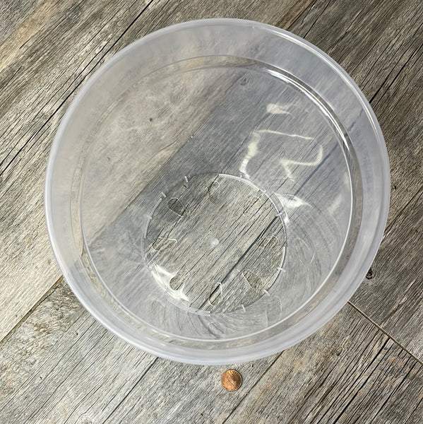 8" crystal clear round orchid pot