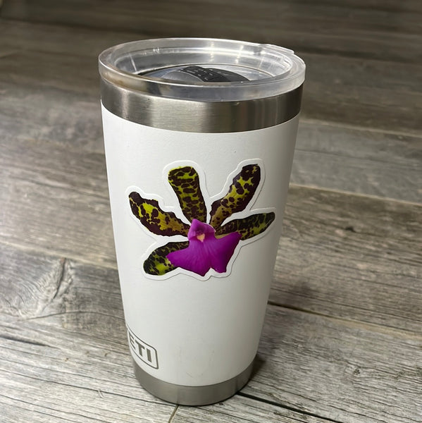 Cattleya orchid sticker - vinyl & weather resistant