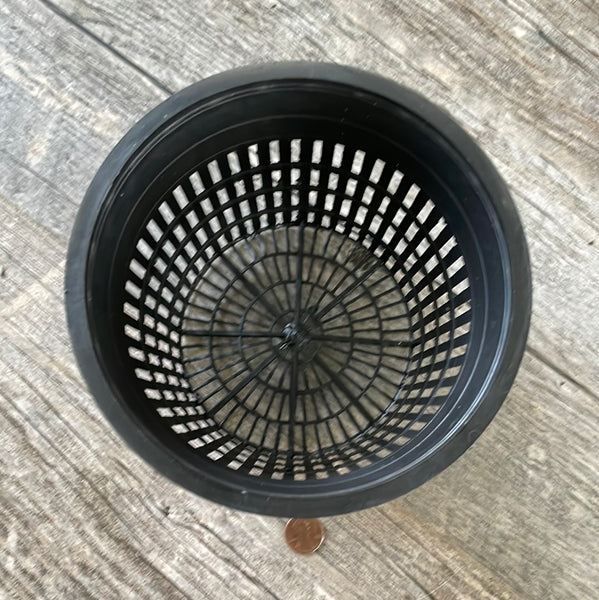 6" round black net cup