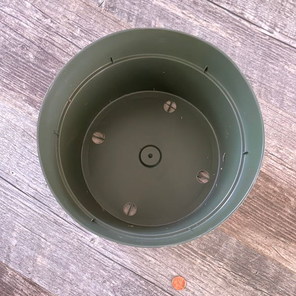 10 inch round green plastic bulb pot