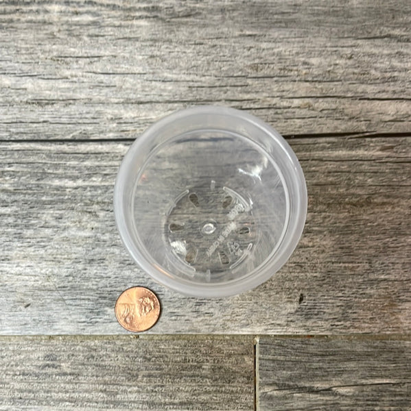 showing the six holes in the bottom of a 2.5" super clear round seedling flower pot