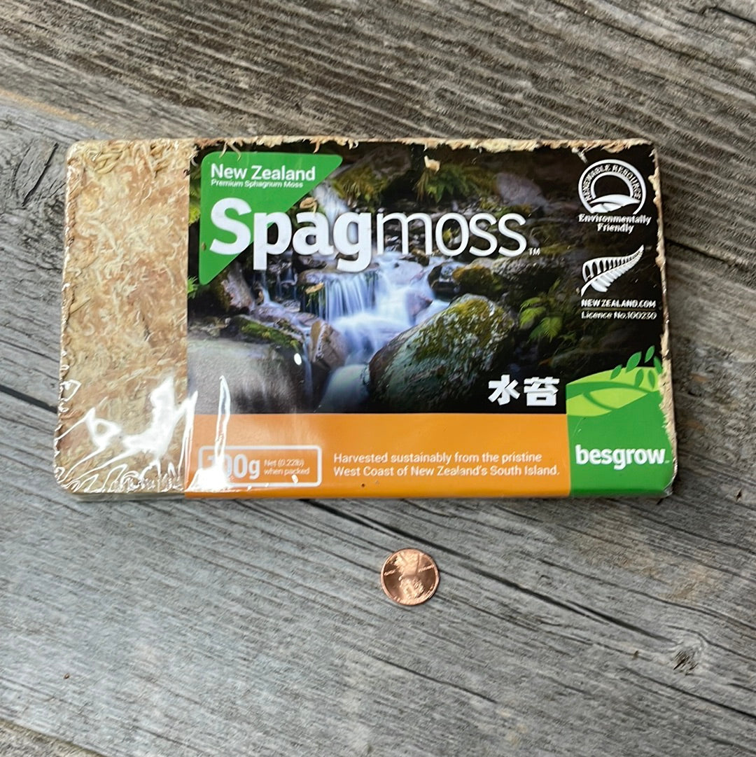 New Zealand Dry Sphagnum Moss AA Grade - Huge Super Compressed