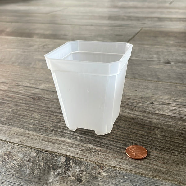 2.75" square clear seedling pot