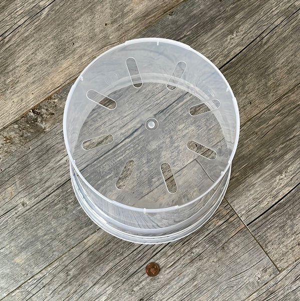 bottom of a 9" clear orchid pot showing drainage holes