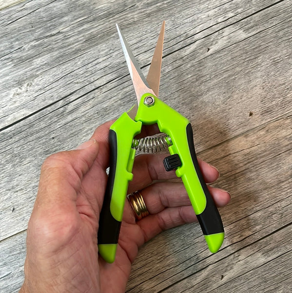 8" pruning shear for orchids