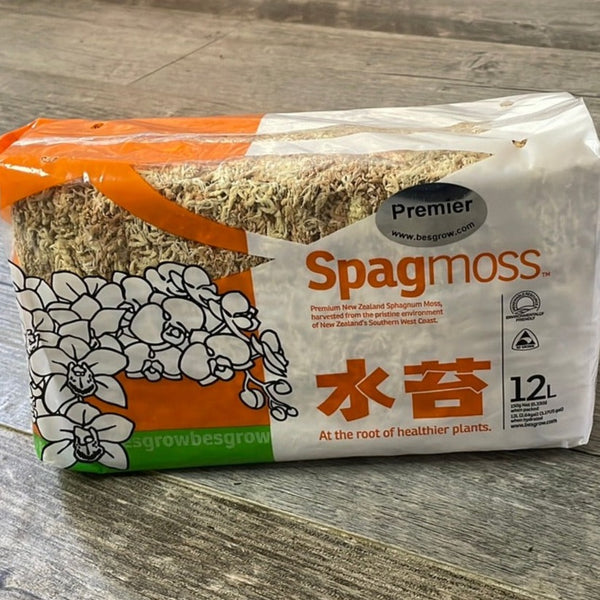 New Zealand Sphagnum Moss - Premier AAA+ 150grams