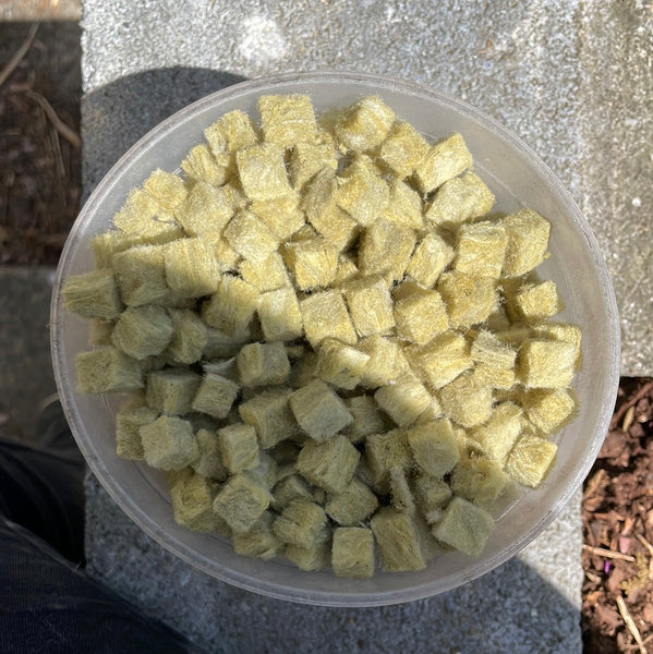 Grodan Grow-Cubes 1/4" rockwool cubes - 1 gallon size