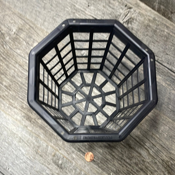 8" octagonal black plastic orchid basket