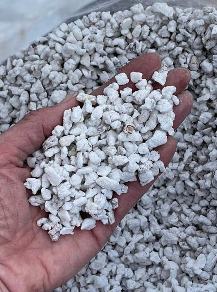 Sponge rock #3 (perlite) Medium