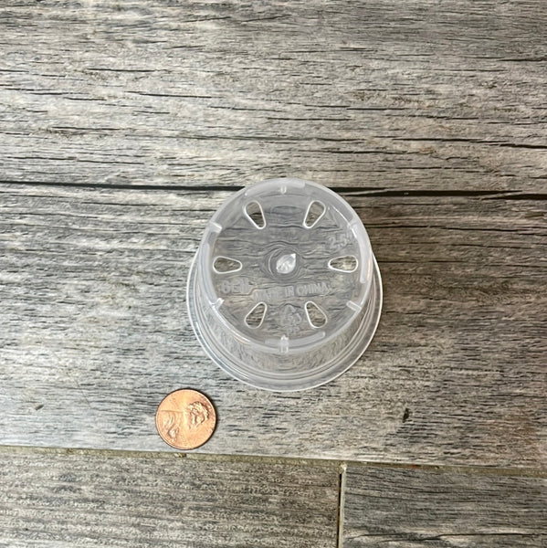 showing six holes in the bottom of a 2.5" clear round seedling orchid pot