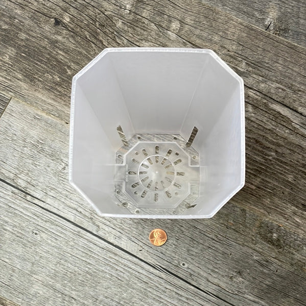 4.75" bevel sided tall square clear pot