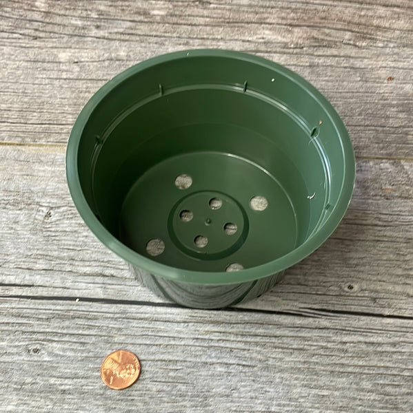 5" round green plastic bulb pan