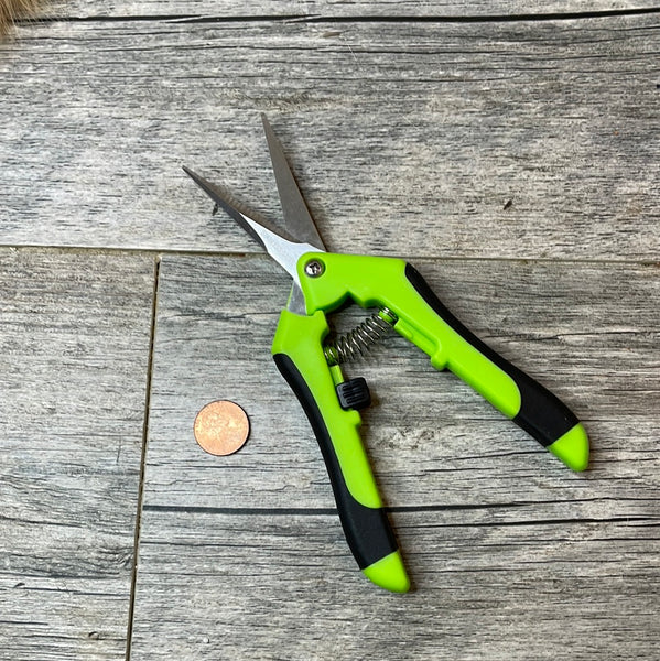 8" pruning shear for orchids