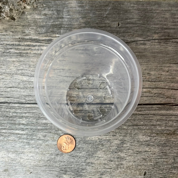 3" ultra clear round orchid seedling pot