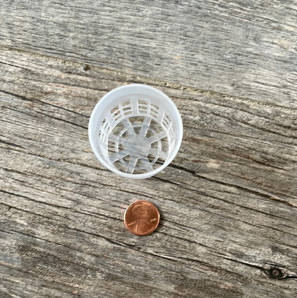 the inside bottom of a tiny 1.5" clear mesh pot with a penny for size comparison