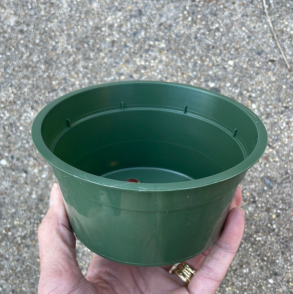 5" round green plastic bulb pan