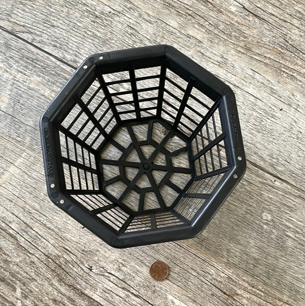 6" octagonal black plastic orchid basket