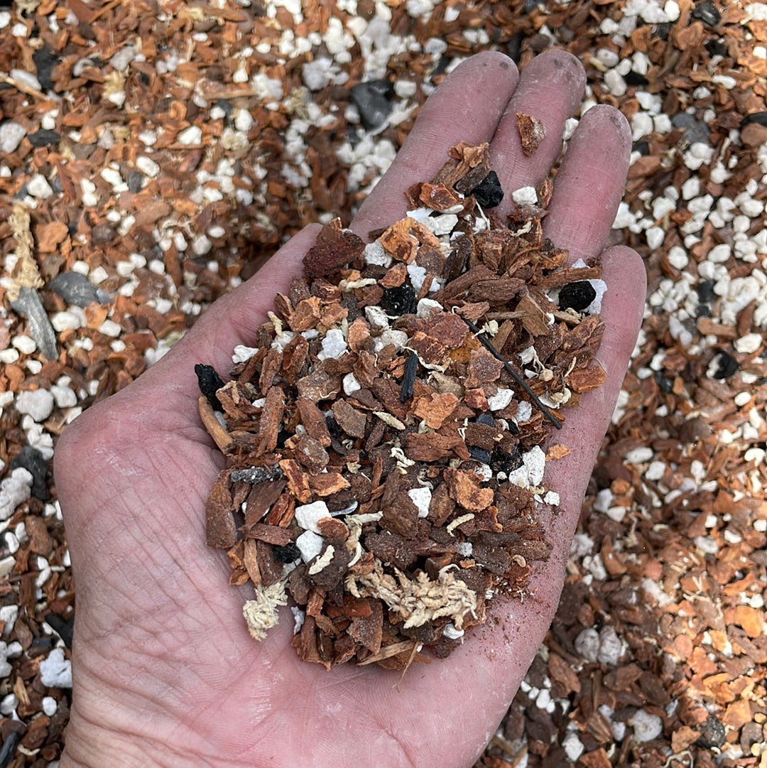 orchid potting mix for cactus Paph & Phrag Fir Bark Orchid Mix