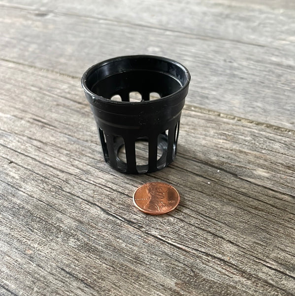 a 1 5/8" tiny black net pot with a penny for size